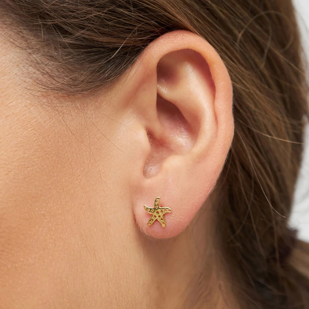 Starfish earring